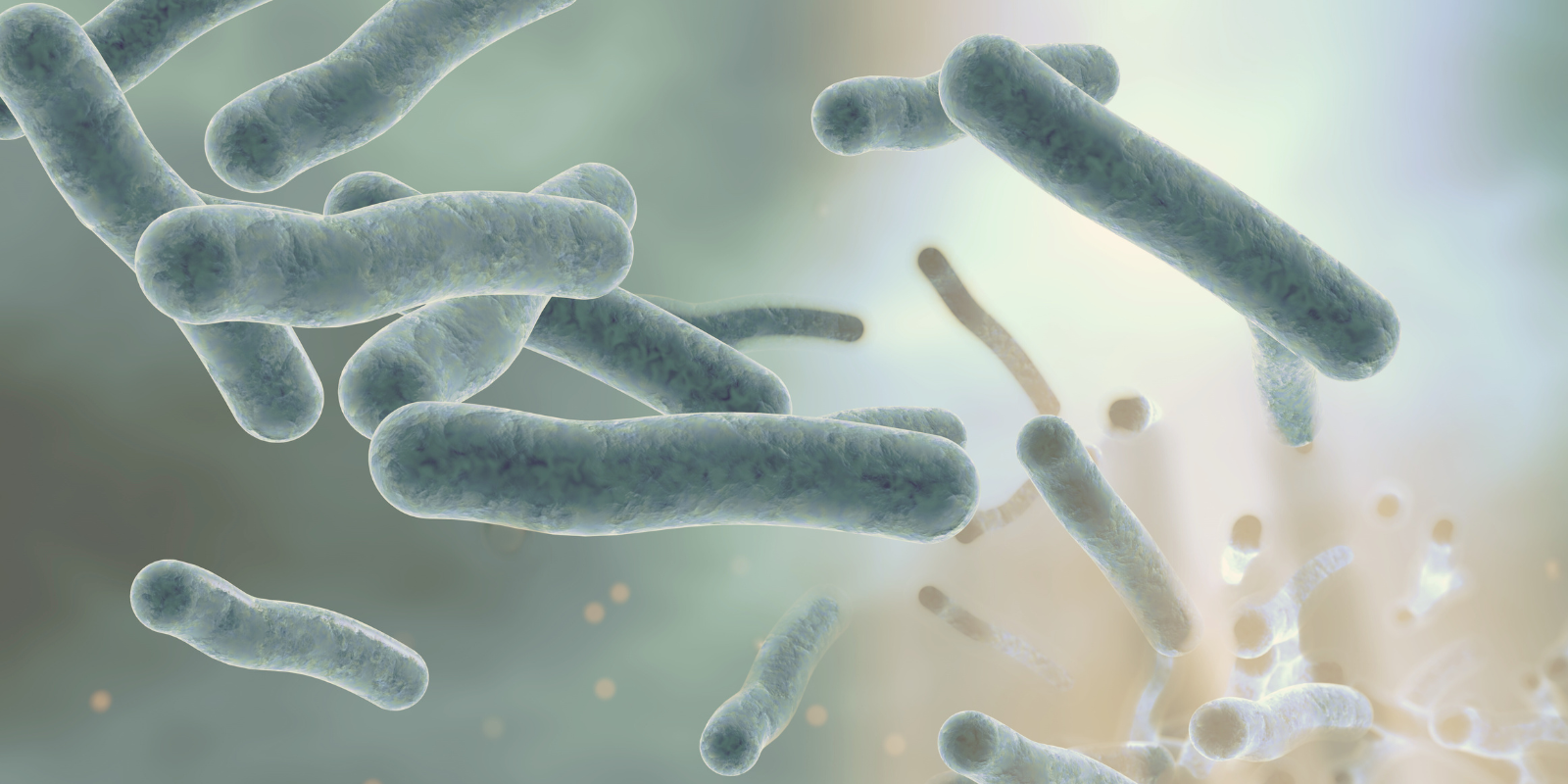 bacteria in water based skincare