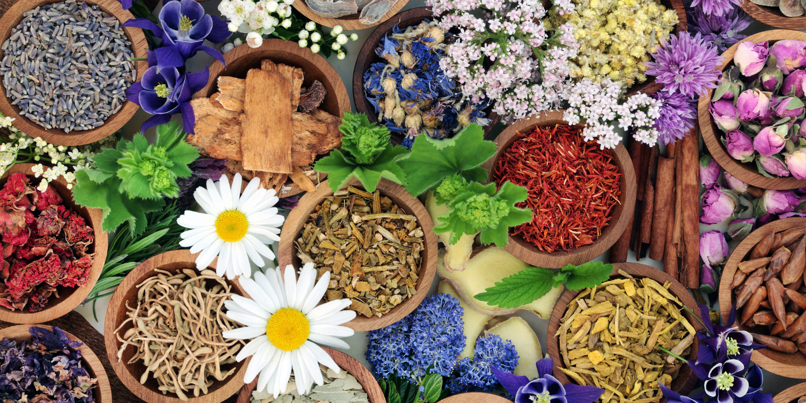 ayurvedic skincare ingredients time tested over 5000 years